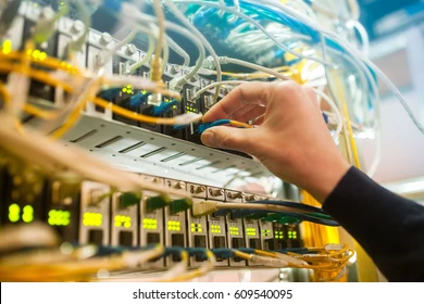 services